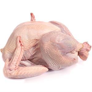 Turkey whole